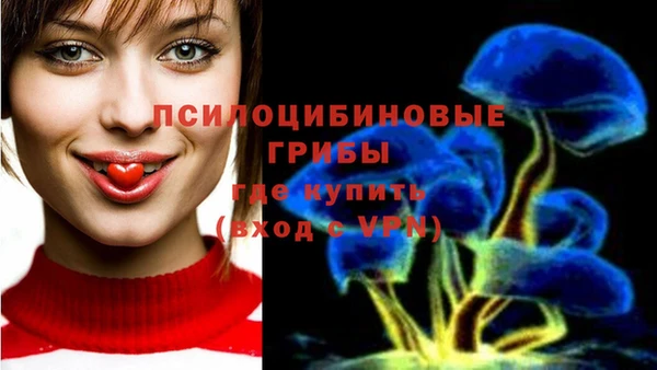 круглые Богородицк