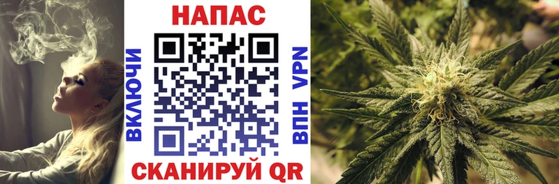 дарнет шоп Плёс дарк нет клад Бошки Шишки гибрид
